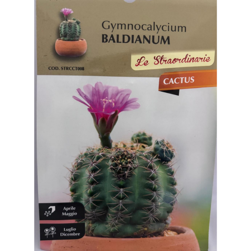 GYMNOCALYCIUM BALDIANUM