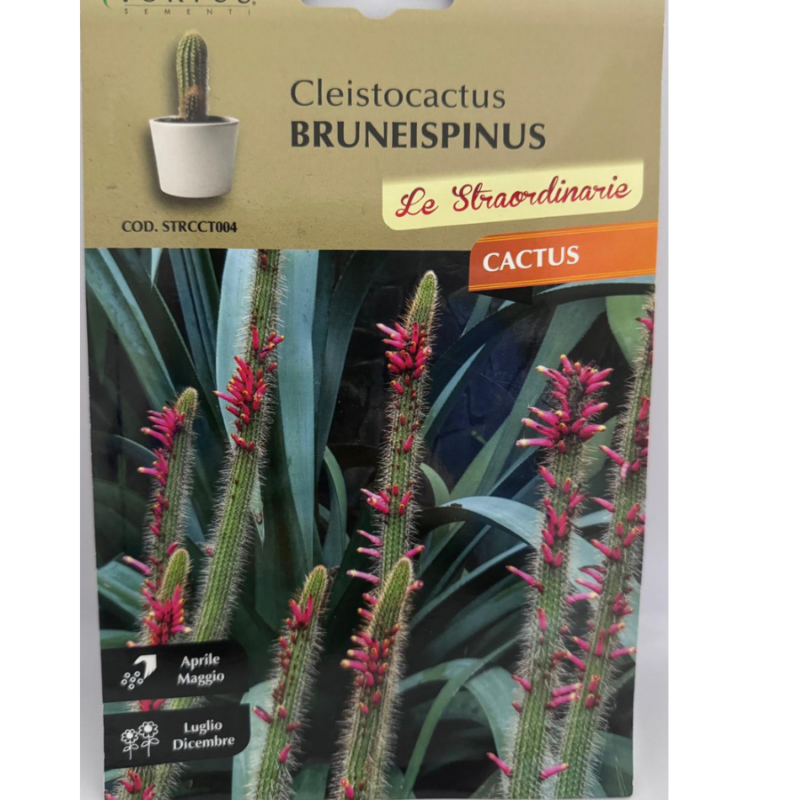 CLEISTICACTUS BRUNEISPINUS