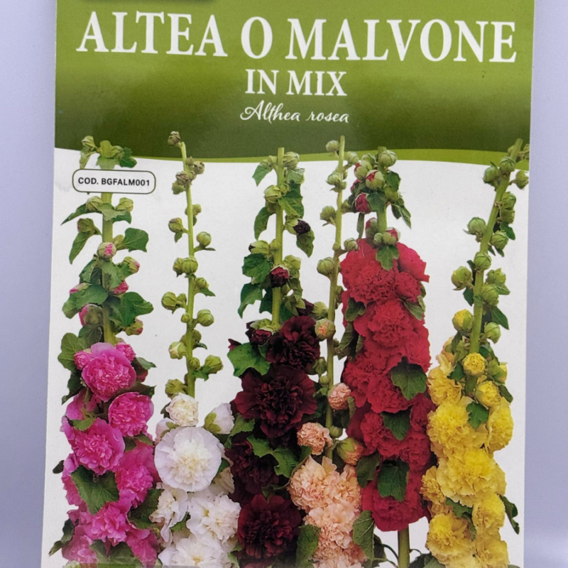 ALTEA O MALVONE