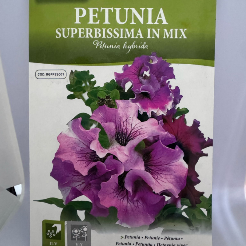 PETUNIA SUPERBISSIMA IN MIX