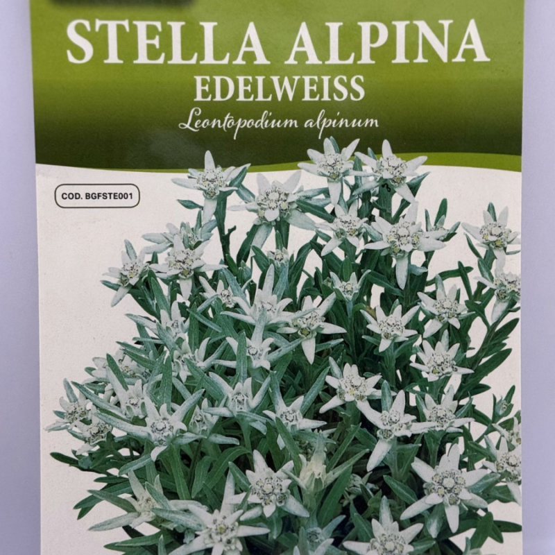 STELLA ALPINA EDELWEISS
