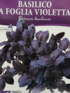 BASILICO A FOGLIA VIOLETTA