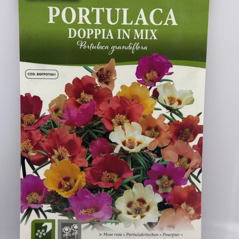 PORTULACA DOPPIA IN MIX