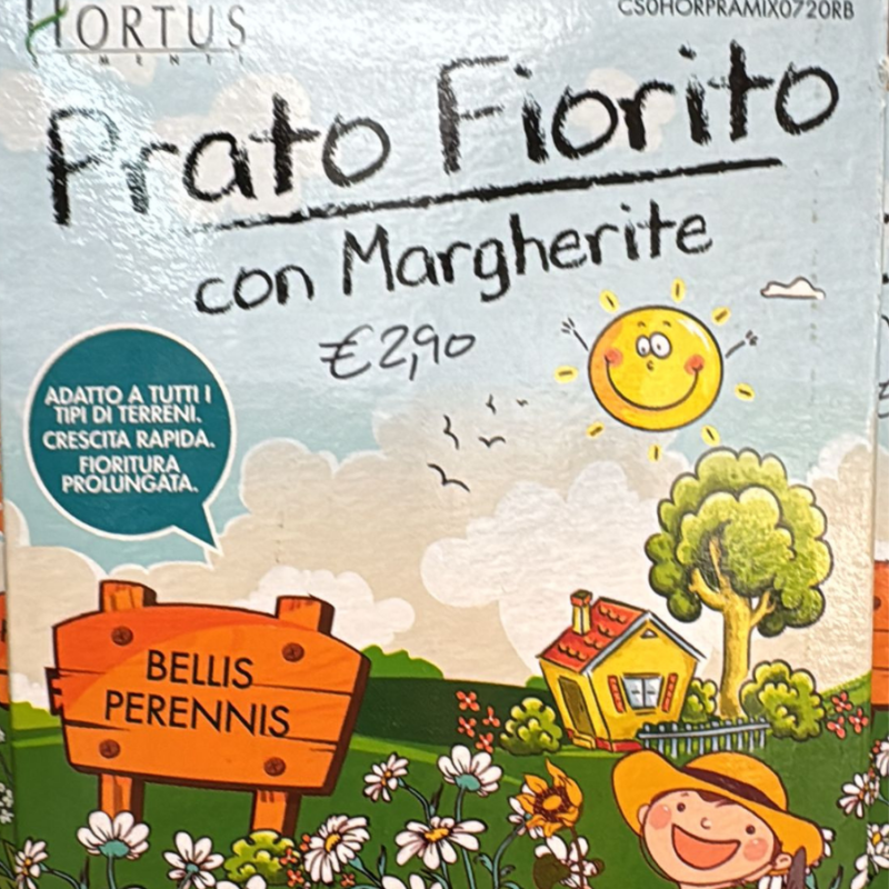 PRATO FIORITO CON MARGHERITE